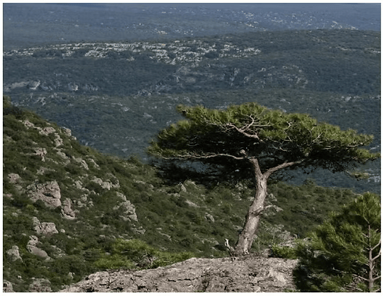 Autres sites 