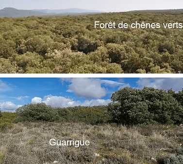 Autres sites 