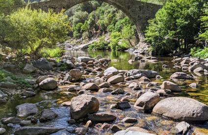 Photo d'une rivière surmontée par un pont de pierre en Corse