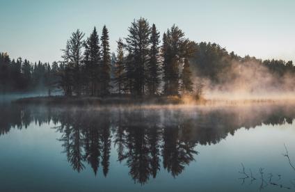Photo d'un lac brumeux dans lequel se reflète un îlot de pins