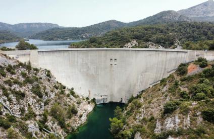 AMI synthèses scientifiques 