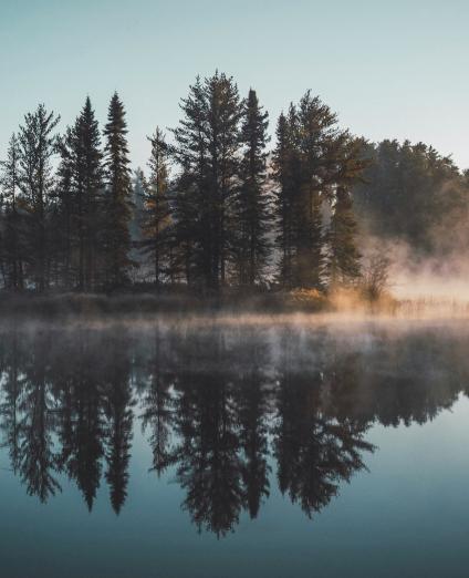 Photo d'un lac brumeux dans lequel se reflète un îlot de pins