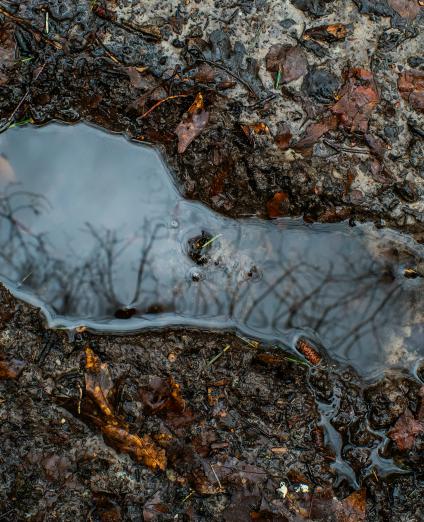 Empreinte Eau ©LucasvanOort-Unsplash Empreinte eau