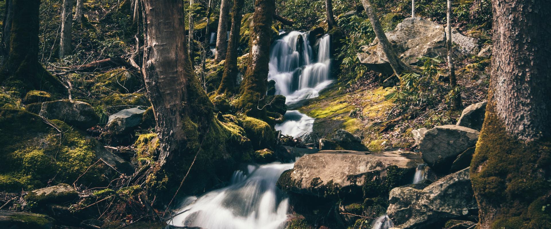 Photo d'eau coulant dans une rivière courant dans une forêt