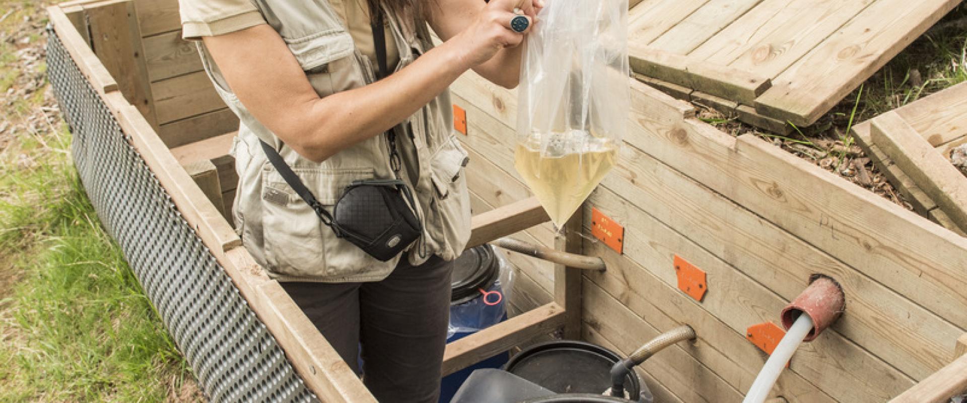 Photo d'une chercheuse étudiant un échantillon prelevé à partir de plaques lysimètriques