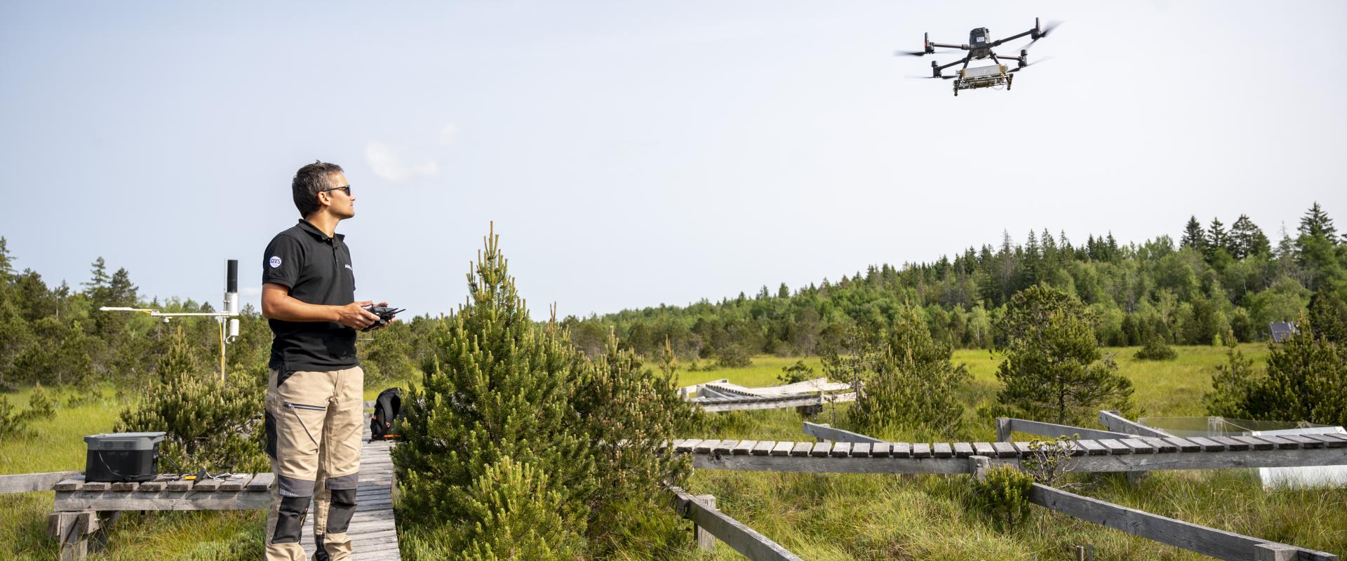 Photo d'un chercheur dans une tourbière regardant et pilotant un drone