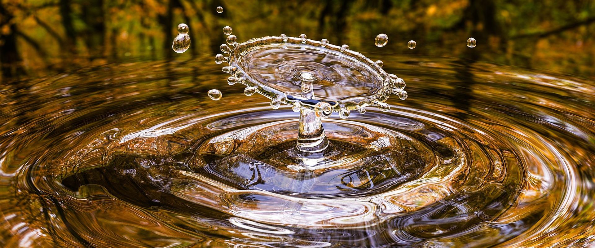 Drop water