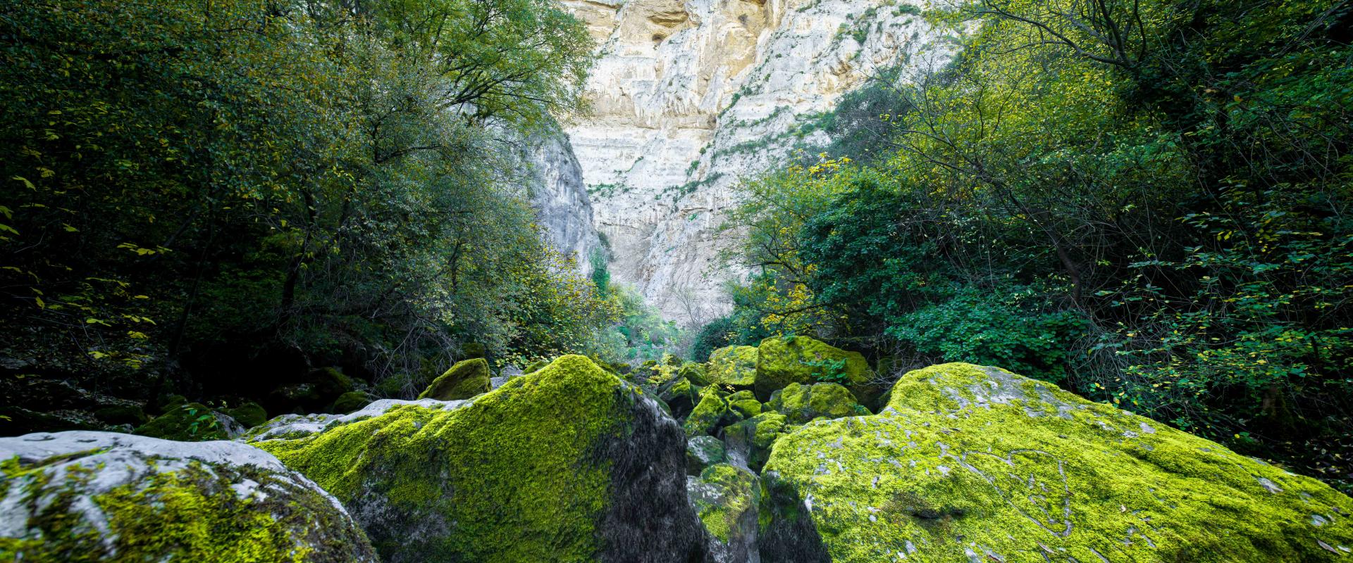 Fontaine de Vaucluse 