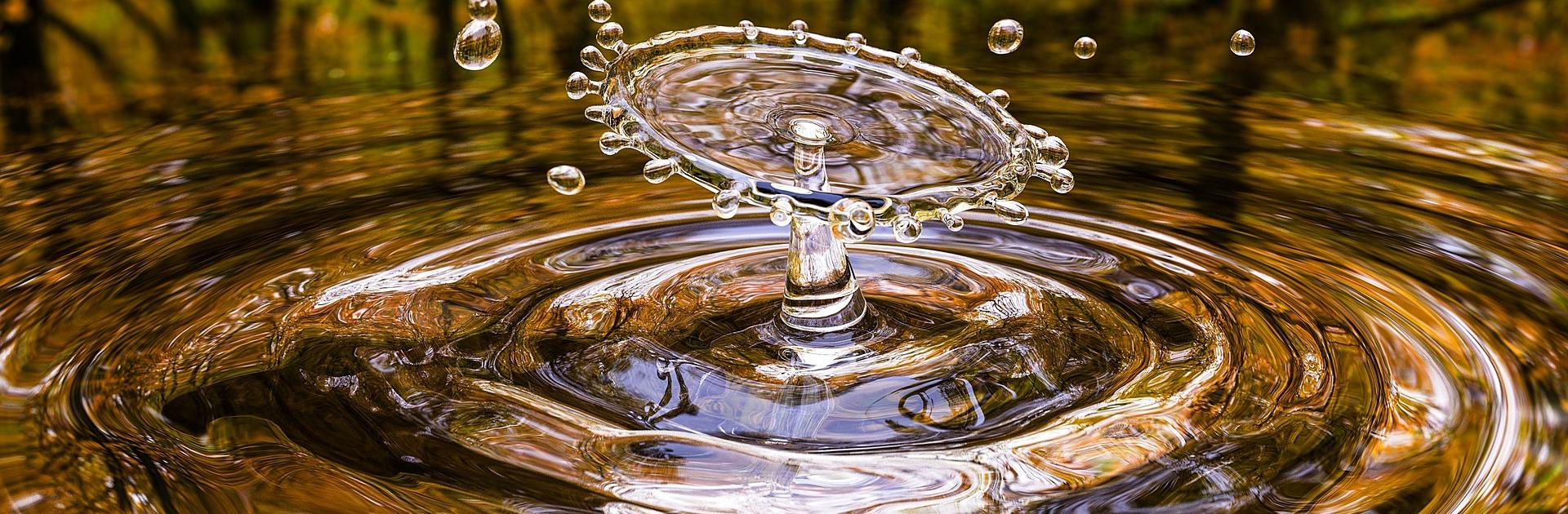 Drop water