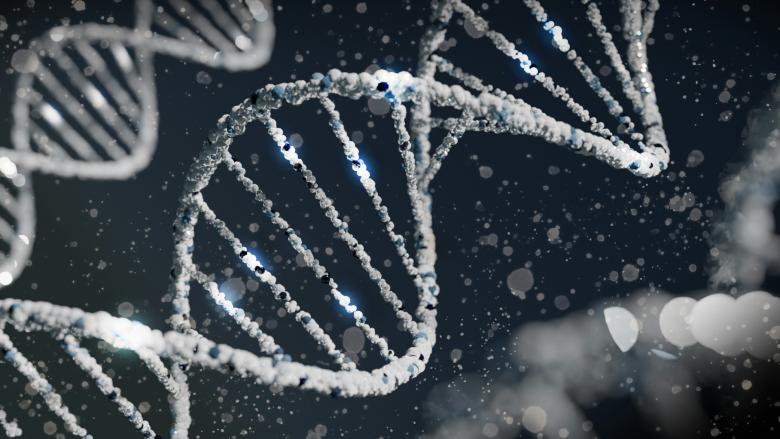 Image représentant une molécule d'ADN
